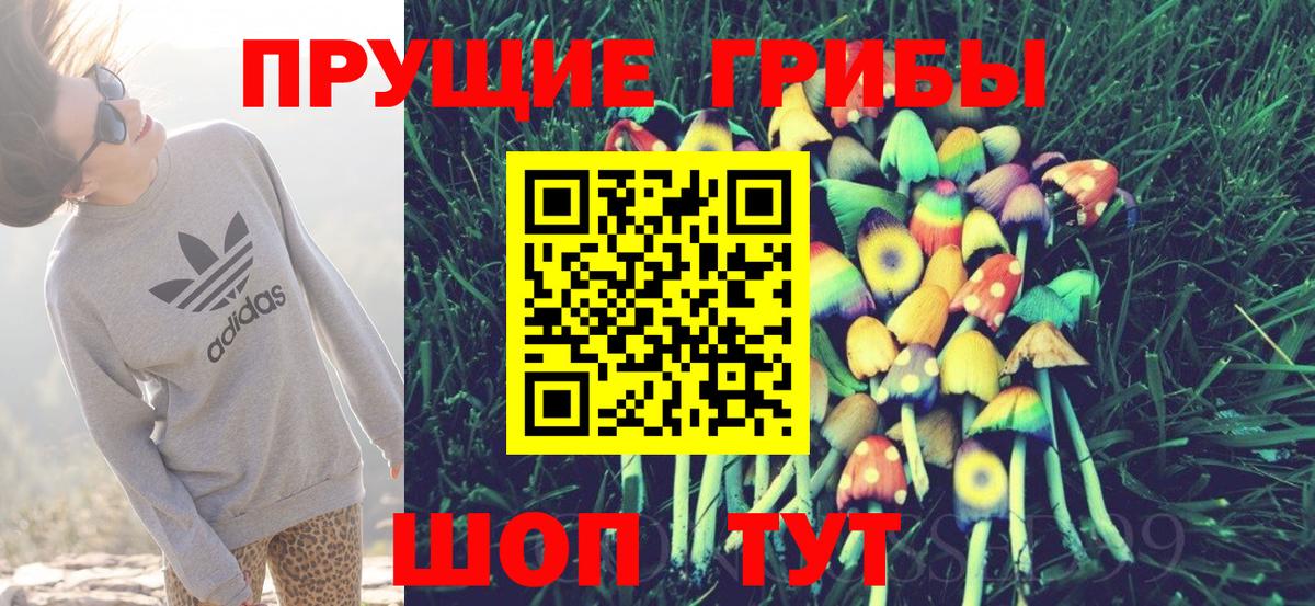 Крымск  Псилоцибиновые грибы Magic Shrooms  Вход с VPN 