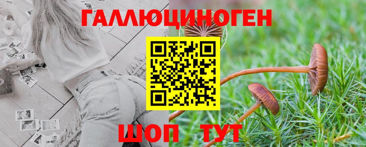 Псилоцибиновые грибы прущие грибы Крымск